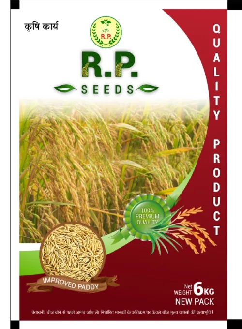 WhatsApp Image 2025-09-19 at 10.22.36 (1)