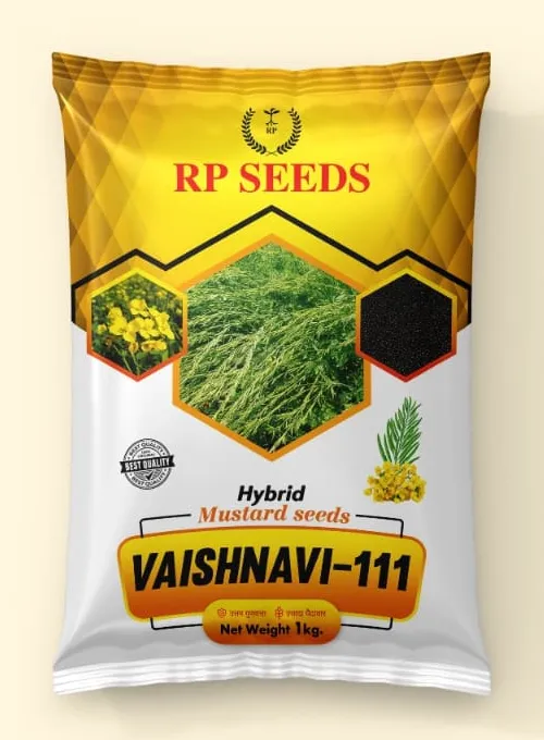 WhatsApp Image 2025-09-19 at 10.22.37 (1)