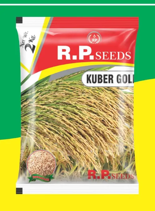 WhatsApp Image 2025-09-19 at 10.22.37